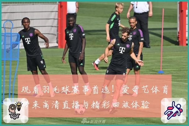 观看羽毛球赛事首选！爱奇艺体育带来高清直播与精彩回放体验